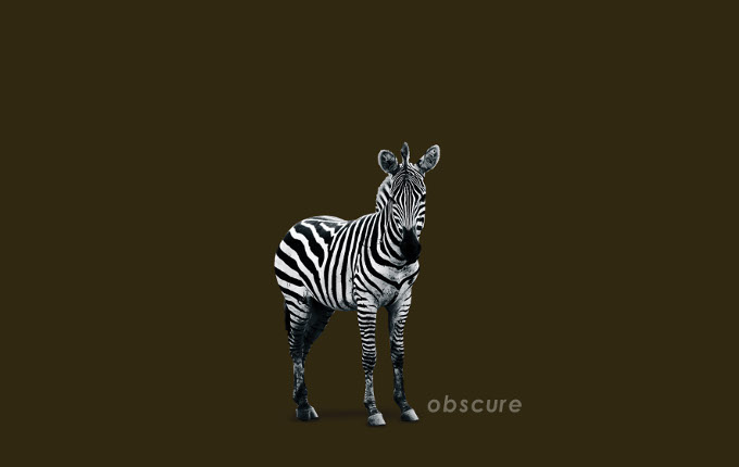Zebra - Investment Innovation Institute