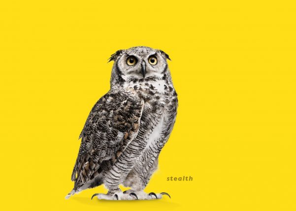 Owl - Investment Innovation Institute