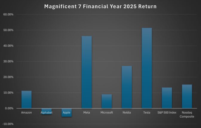 mag 7 fin year 2025 returns black